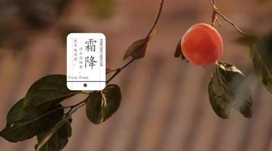 霜降習(xí)俗了解一下！
